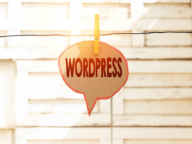 WordPress模板：如何选择WordPress主题模板
